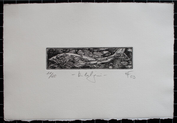 Herbert Franz - Kabeljau - 2003 - Radierung auf Büttenpapier