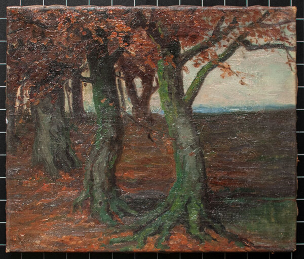 Axel Hansen - Wald - o.J. - Öl auf Leinwand