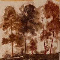 unleserlich signiert - Ile aux pins - o.J. - Farbradierung