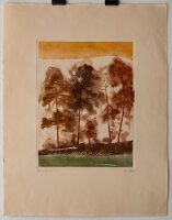 unleserlich signiert - Ile aux pins - o.J. - Farbradierung
