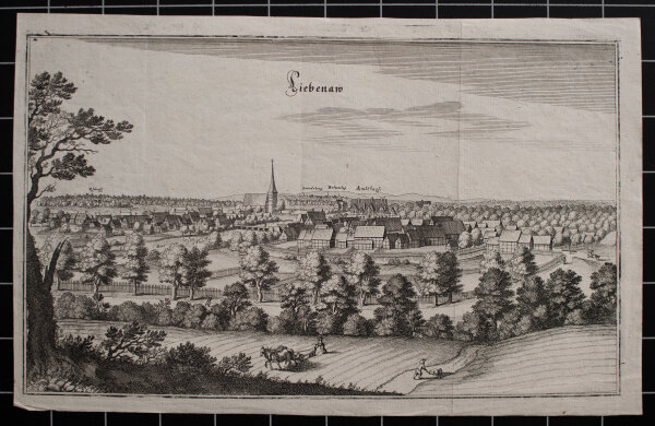 Matthäus Merian - Liebenaw - o.J. - Kupferstich