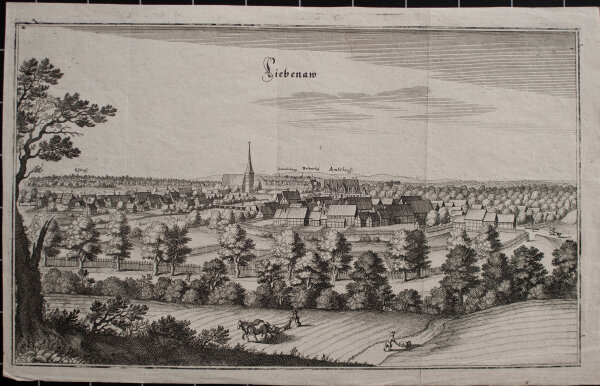 Matthäus Merian - Liebenaw - o.J. - Kupferstich