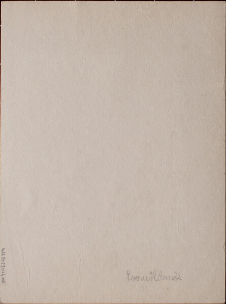 unbekannt - Frauenporträt - o.J. - Fotografie, Bromöldruck