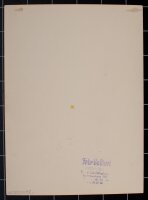 Otto Hedler - Weiblicher Rückenakt - o.J. - Fotografie