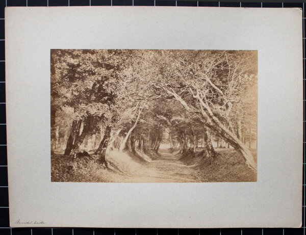 unbekannt - Arundel Castle, West Sussex - o.J. - Fotografie, Abzug