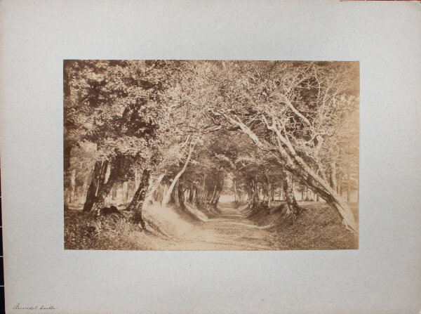 unbekannt - Arundel Castle, West Sussex - o.J. - Fotografie, Abzug