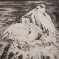 Hermann Fritz Neummann - Zwei Pelikane auf einem Stein -...