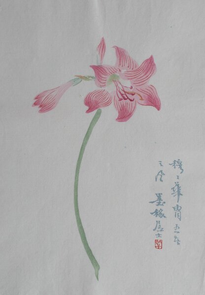 unbekannt chinesisch - Amaryllis - o.J. - Farbholzschnitt auf Japanpapier