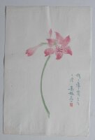 unbekannt chinesisch - Amaryllis - o.J. - Farbholzschnitt auf Japanpapier