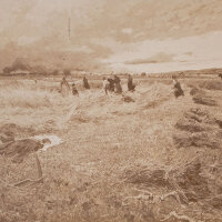 Oskar Suck - Heuernte von Friedrich Kallmorgen - 1892 -...