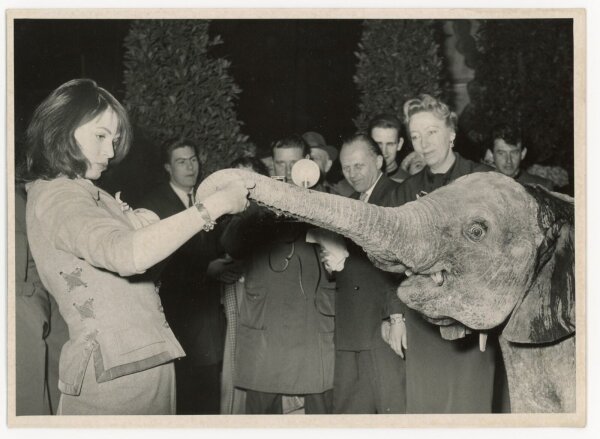 Pressebild-Agentur Schirner - Eva Partok taufte Elefanten - 1958 - s/w Fotografie