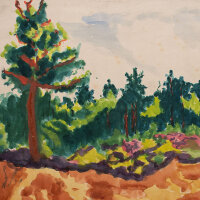 Gerhard Schulte-Dahling - Kiefern in Dünenlandschaft...