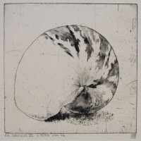 unbekannt - Nautilus VII - 1992 - Radierung auf...