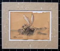 unbekannt - Insekte - 1995 - Aquarell und Tinte