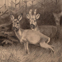 Eugen Osswald - Rehe auf der Lichtung - undatiert -...