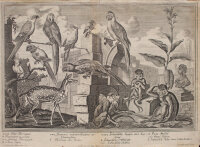 Johann Balthasar probst - Représentation des animaux […] - undatiert - Radierung auf Büttenpapier