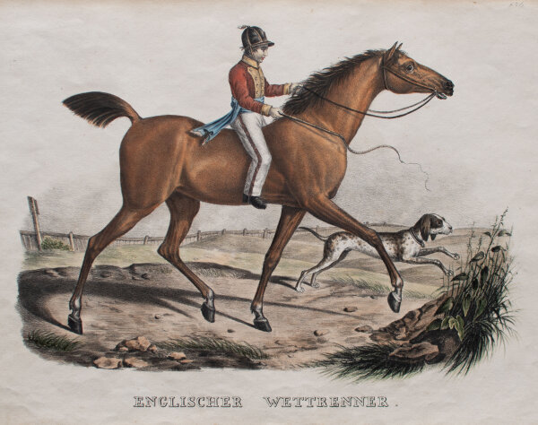 Joseph Brodtmann - Englischer Wettrenner - undatiert - kolorierte Lithografie