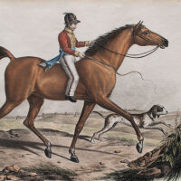 Joseph Brodtmann - Englischer Wettrenner - undatiert -...