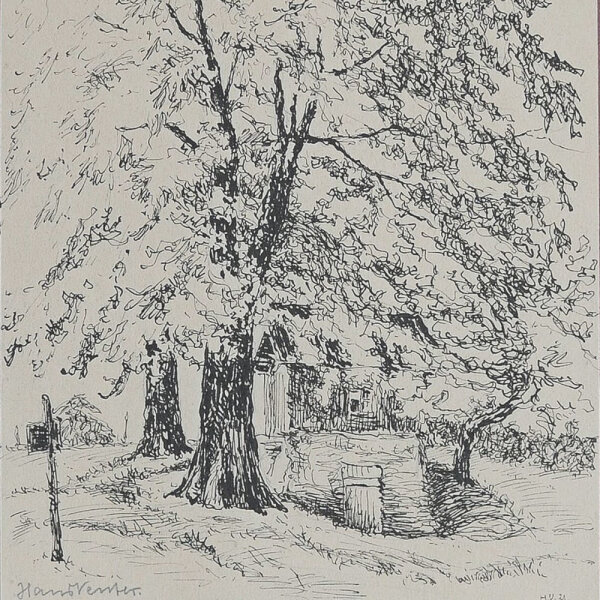 Hans Venter - Linden - 1921 - Tuschezeichnung