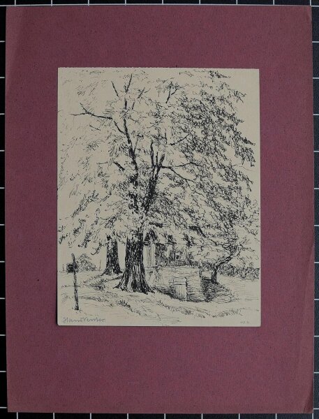 Hans Venter - Linden - 1921 - Tuschezeichnung