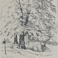 Hans Venter - Linden - 1921 - Tuschezeichnung