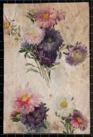 Hans Pretzsch - Astern - 1906 - Aquarell auf Büttenpapier