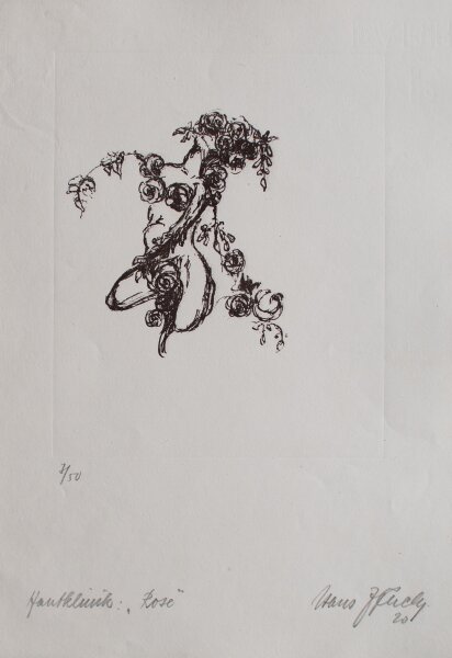 Hans Richard Weinhöppel - Hautklinik: Rose" - 1920 - Lithografie auf Bütten mit Wasserzeichen (angeschnitten)"