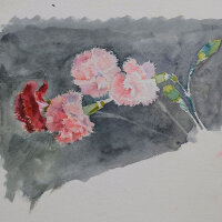 unbekannt - Nelken - ohne Jahr - Aquarell auf...