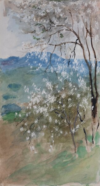 unbekannt - Baumblüte - ohne Jahr - Aquarell