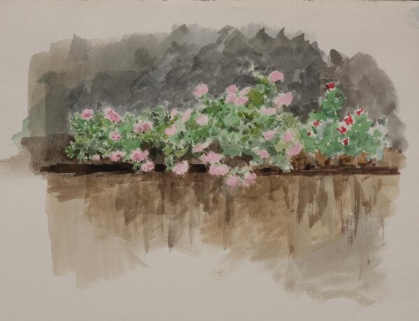 unbekannt - Blumen auf dem Balkon - undatiert - Aquarell und Bleistift