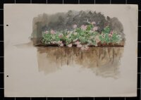 unbekannt - Blumen auf dem Balkon - undatiert - Aquarell...