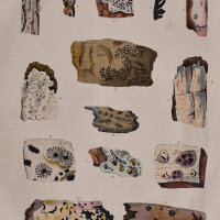 unbekannt - Enzyklopädische Bildtafel - undatiert -...