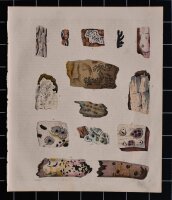 unbekannt - Enzyklopädische Bildtafel - undatiert -...