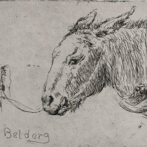 Hans Dietmann - Esel (Belderg, Irland) - undatiert - Radierung auf Büttenpapier