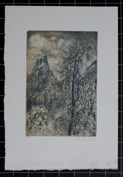 Hans Dietmann - Griesbachtal - Lärche - undatiert - Farbradierung auf Büttenpapier