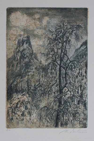 Hans Dietmann - Griesbachtal - Lärche - undatiert - Farbradierung auf Büttenpapier