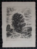 Hans Dietmann - Alte Eiche - undatiert - Radierung auf...