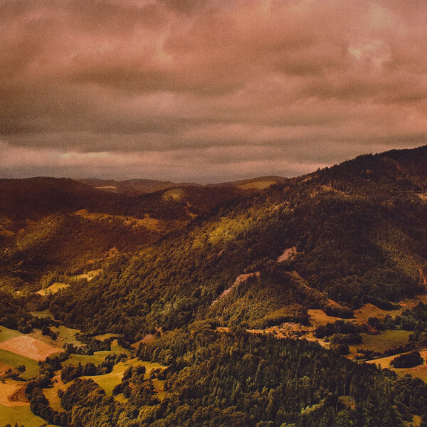 Florian Richter - Gefilde - 2014 - Buch, originalverpackt