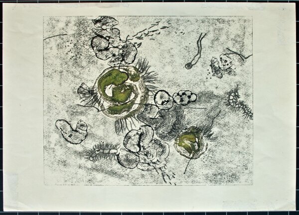 Genscher - ohne Titel - undatiert - Lithografie