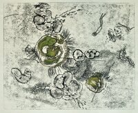 Genscher - ohne Titel - undatiert - Lithografie