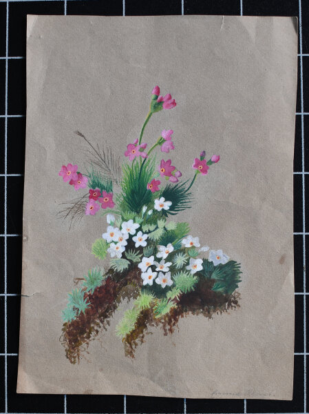 Emma Albert - Blumestudie - undatiert - Aquarell