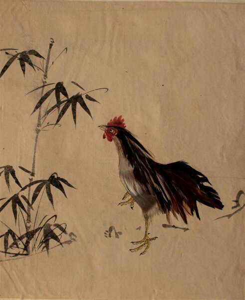 unbekannt - Hahn - o.J. - Collage