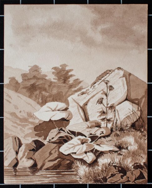 A. Peters - Am Bergsee - undatiert - Tuschezeichnung laviert