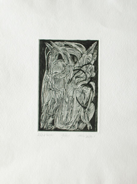 Unbekannt - Geäst - 1986 - Radierung