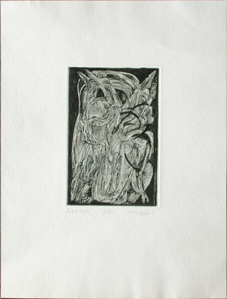 Unbekannt - Geäst - 1986 - Radierung