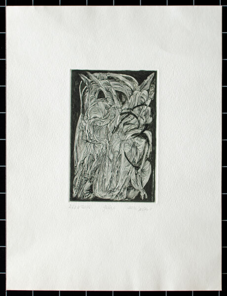 Unbekannt - Geäst - 1986 - Radierung