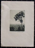 A. Kunst - Blick ins Land bei Regensburg - undatiert -...