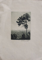 A. Kunst - Blick ins Land bei Regensburg - undatiert - Radierung