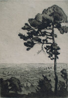 A. Kunst - Blick ins Land bei Regensburg - undatiert - Radierung