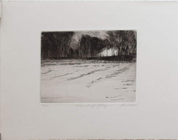 Helga Wirth - Niendorfer Gehege - 1997 - Radierung